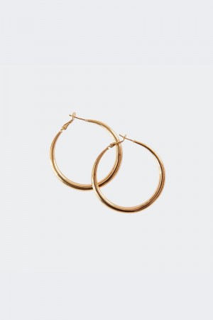 Edikted Diva Hoop Earrings Gold | USA OC194429Q9