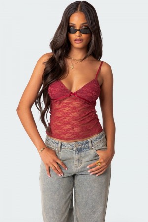 Edikted Eira Sheer Lace Tank Top Black | USA FY345234A0