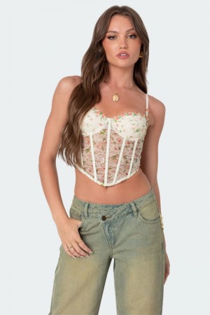 Edikted Embroidered Sheer Lace Corset Cream | USA II042774W0