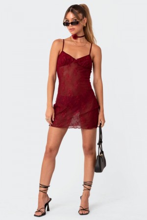 Edikted Madame Sheer Lace Mini Dress Black | USA WG807570B0