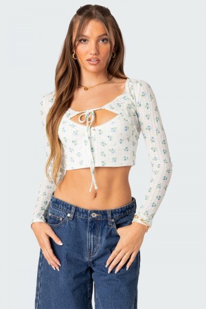 Edikted Pointelle Two Piece Shrug Long Sleeve Tops Mix | USA LN904820G7