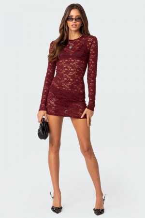 Edikted Surreal Sheer Lace Mini Long Sleeve Dress Burgundy | USA YW652875X6