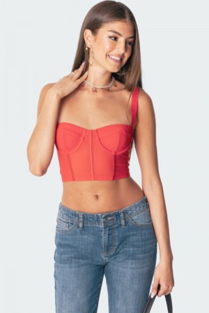 Edikted Teagen Mesh Corset Crop Tops Black | USA YY152105O4