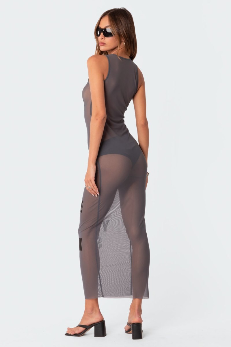Edikted Babe Sheer Mesh Maxi Dress Maxi Dress Gray | USA KX076757H4
