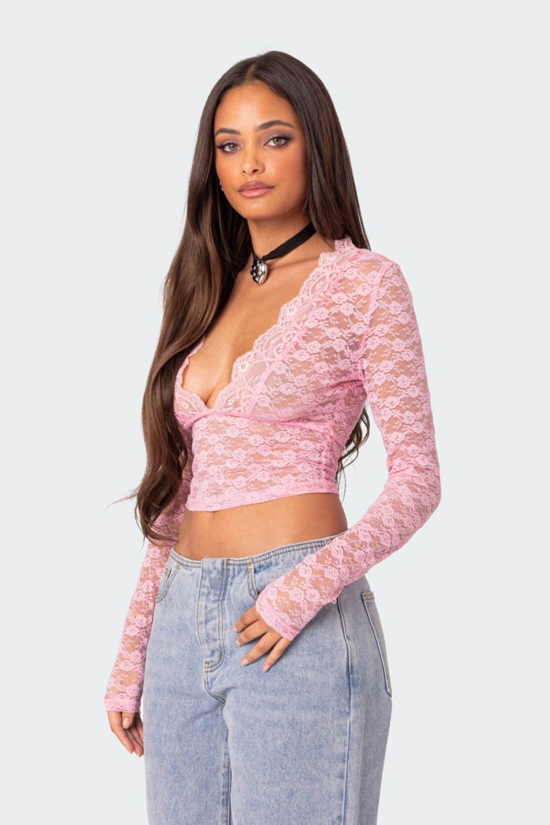 Edikted Beck Plunge Neck Sheer Lace Crop Tops Black | USA GL676317Y4