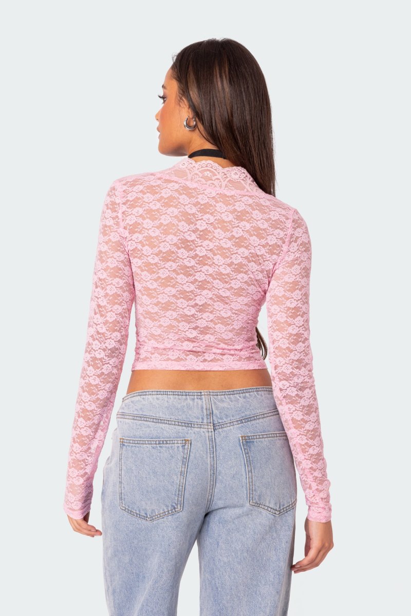 Edikted Beck Plunge Neck Sheer Lace Crop Tops Black | USA GL676317Y4