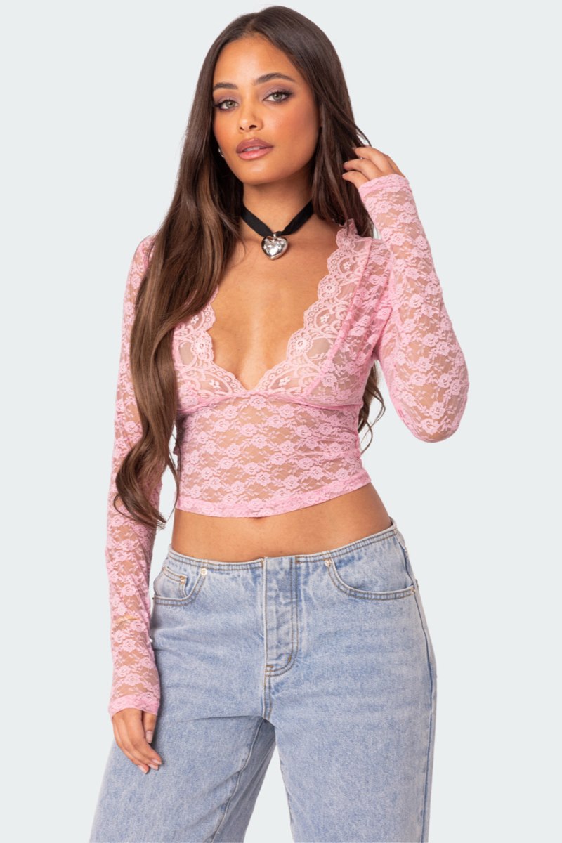 Edikted Beck Plunge Neck Sheer Lace Crop Tops Black | USA GL676317Y4
