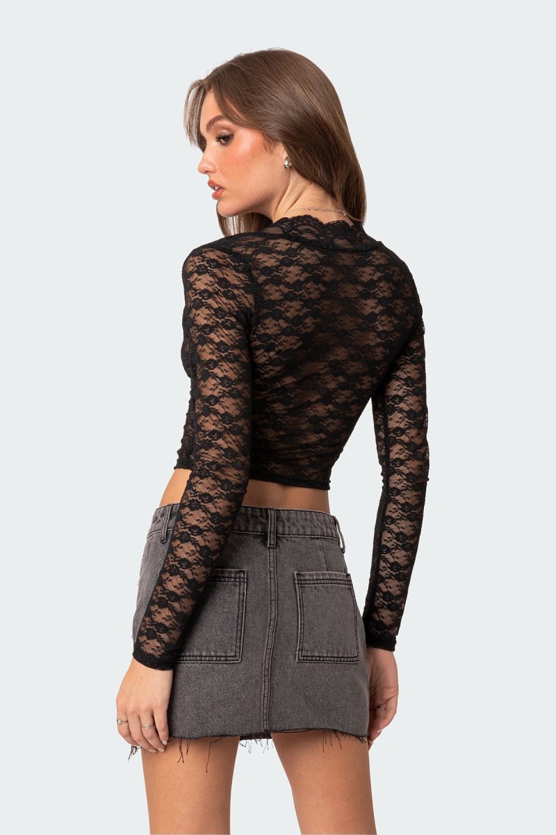 Edikted Beck Plunge Neck Sheer Lace Long Sleeve Tops Black | USA SX427762E6