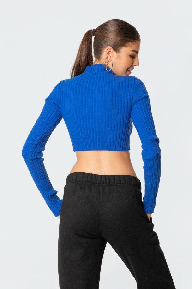 Edikted Bonnie Cropped Sweater Long Sleeve Tops Blue | USA KD164176K4