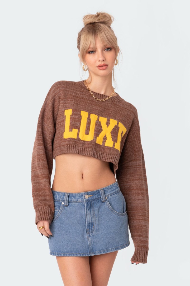 Edikted Luxe Cropped Sweater Crop Tops Brown | USA QW689958U3