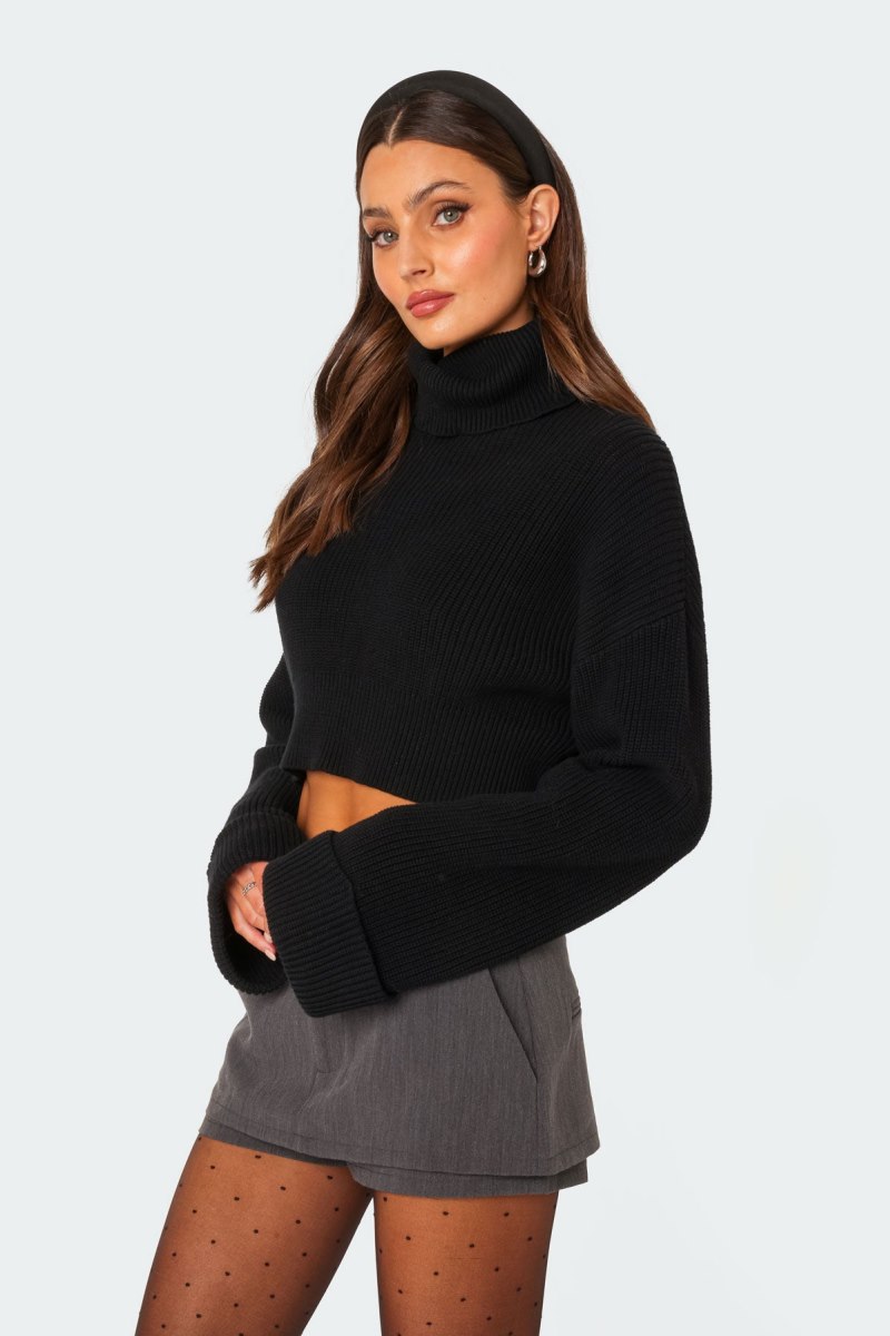 Edikted Oversized Turtle Neck Cropped Sweater Long Sleeve Tops Black | USA IY438103H0