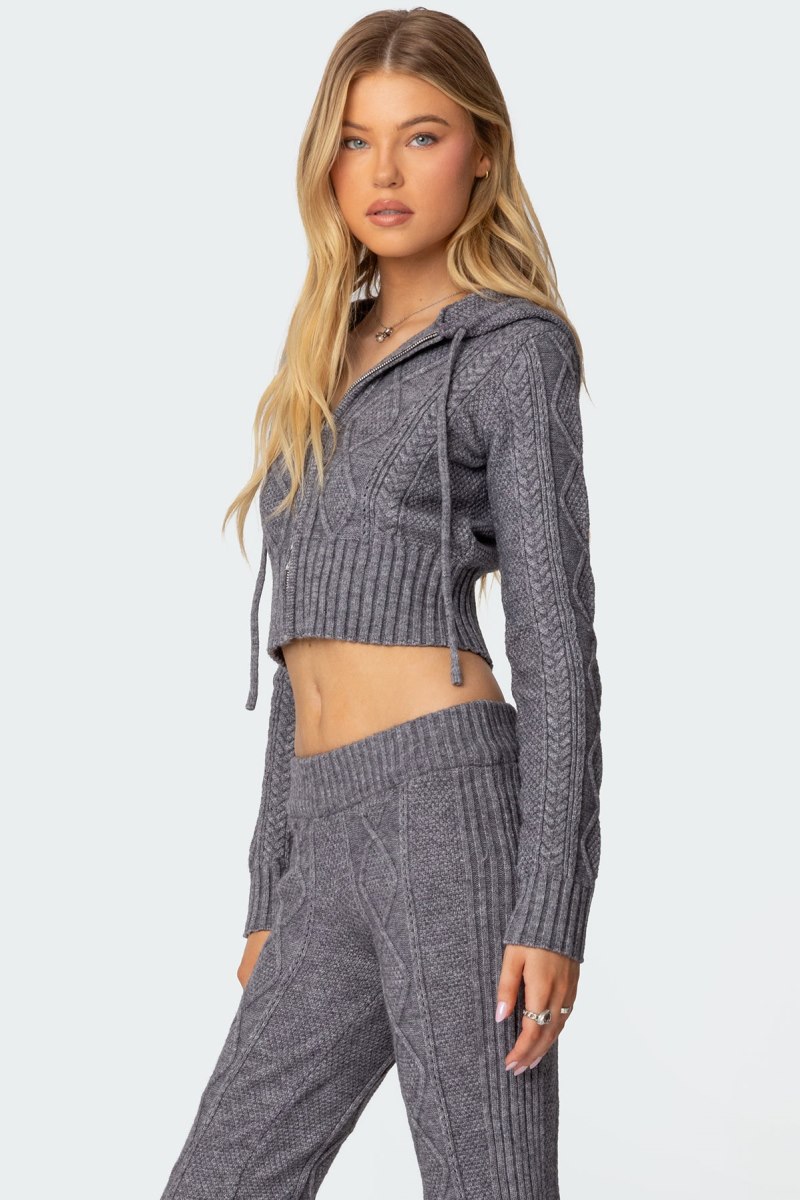 Edikted Ray Cable Knit Hooded Cardigan Burgundy | USA WE213621E3